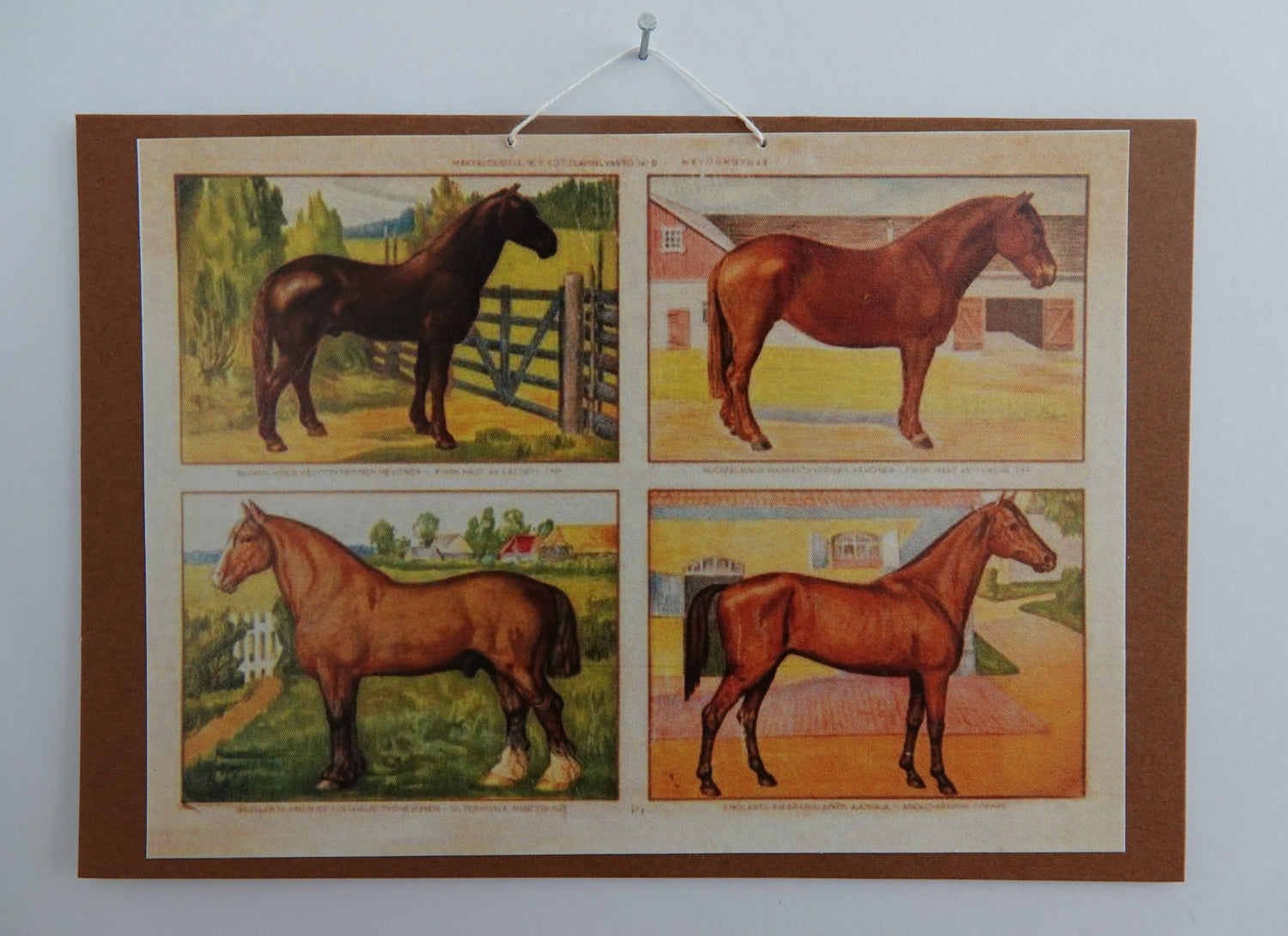 Opetustaulu nukkekotiin, hevoset