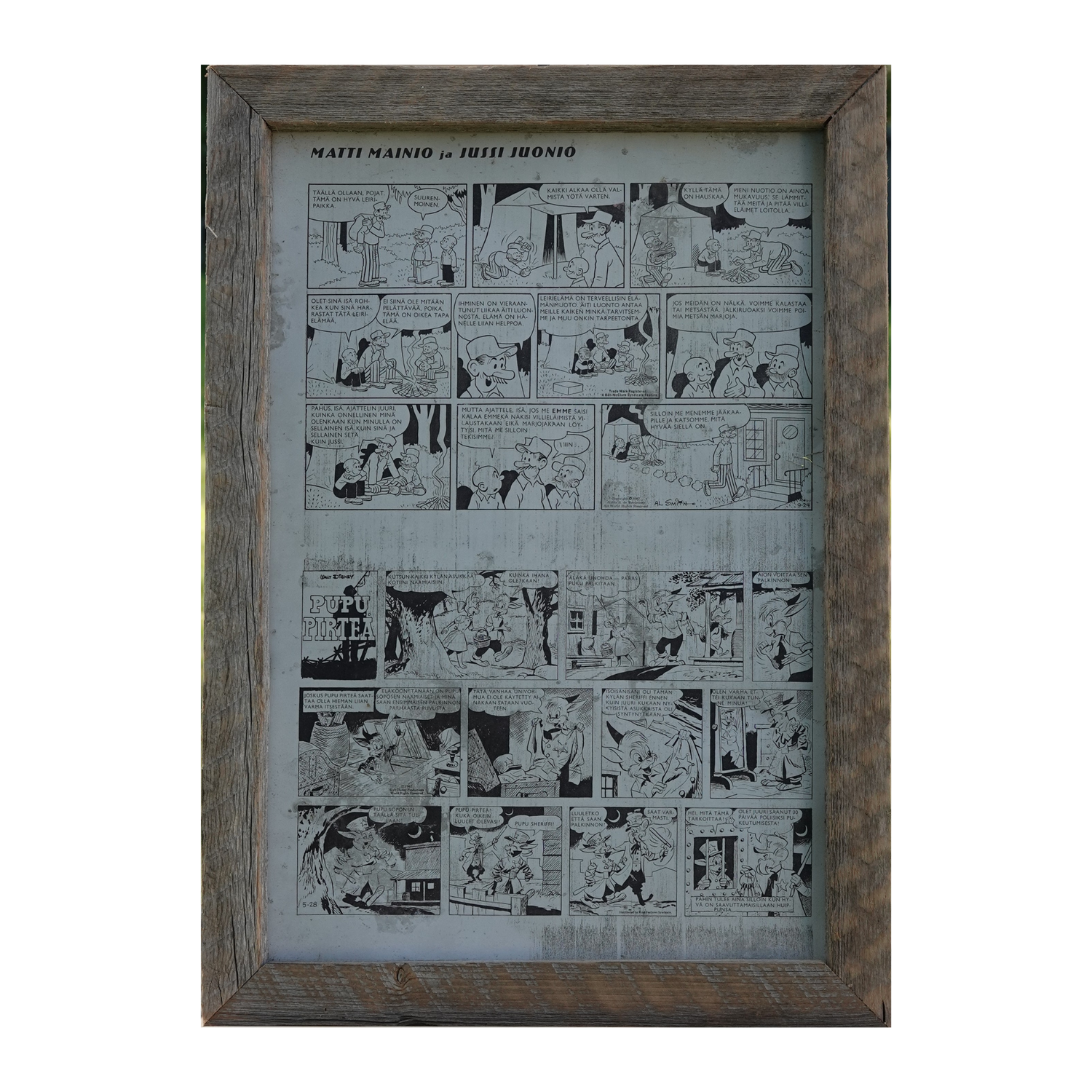 Taulu ladonlauta kehyksillä, sarjakuvat