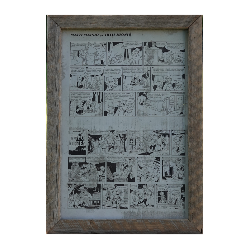 Taulu ladonlauta kehyksillä, sarjakuvat