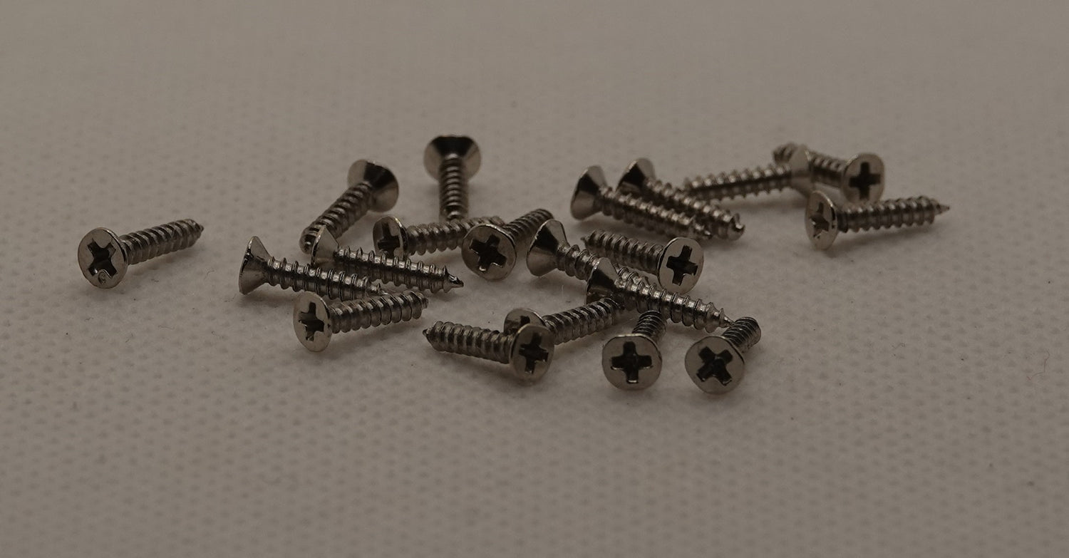 Ruuvi 2 x 10 mm, hopea 20 kpl