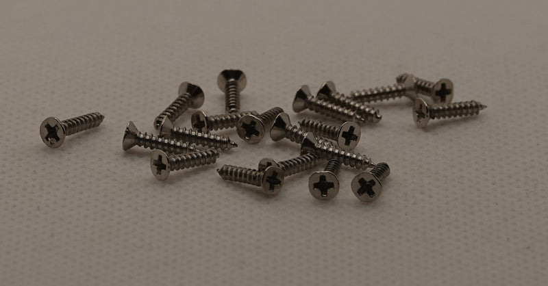 Ruuvi 2 x 10 mm, hopea 20 kpl