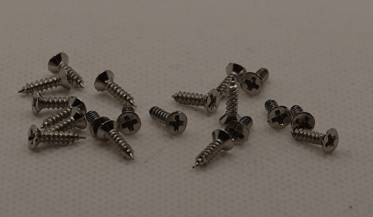 Ruuvi 2 x 8 mm, hopea 20 kpl