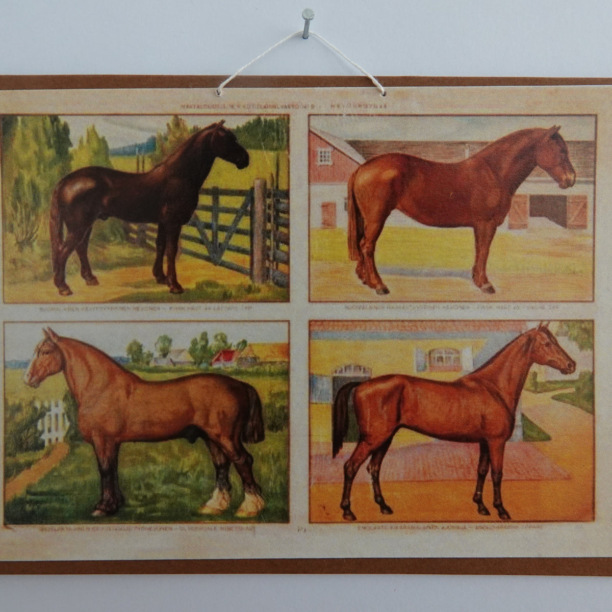 Opetustaulu nukkekotiin, hevoset